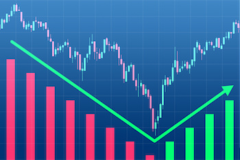 Dead Cat Bounce